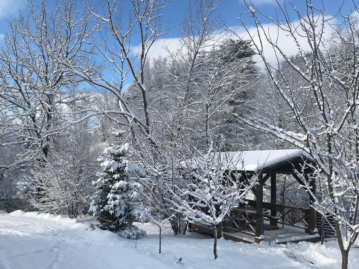 Gallery Of Mountains Holiday Home Jasinja Exteriör bild