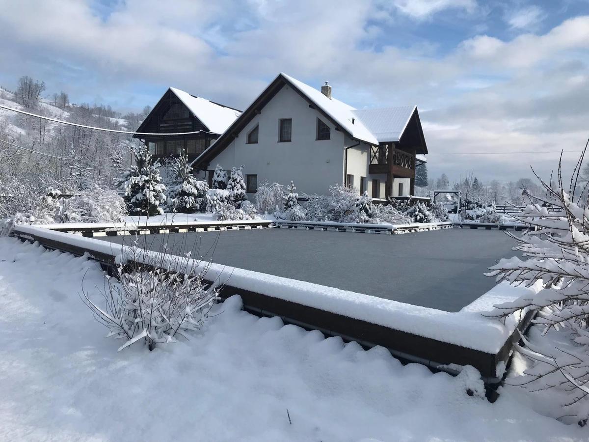 Gallery Of Mountains Holiday Home Jasinja Exteriör bild